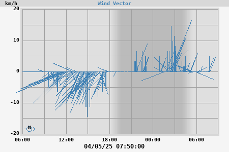 Wind Vector